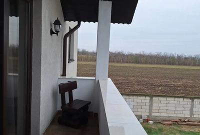 Casă cu 4 camere cu Teren 5000 Mp în Mârșa - 6
