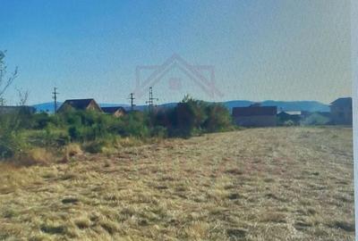 Teren Construcții intravilan de 4900 mp, în Nord-Vest - 2