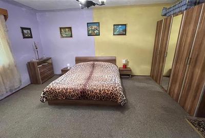 Casă individuală cu 3 camere cu Teren 2500 Mp în Ulieș - 28