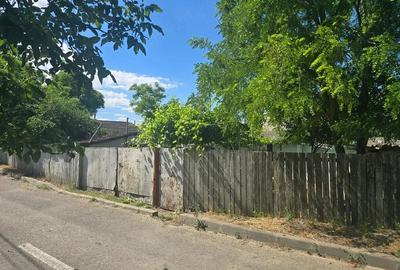 Casă cu Teren 3000 Mp în Dăeni