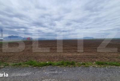 Teren de 18000 mp, în Hărman - 4