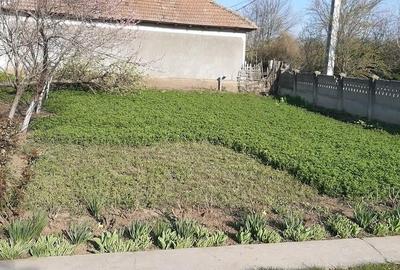 Casă în Piatra - 2