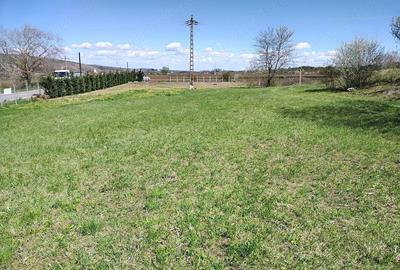 Teren de 3100 mp, în Moldovenești - 3