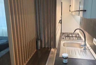 Apartament cu 2 camere în Palazu Mare - 8