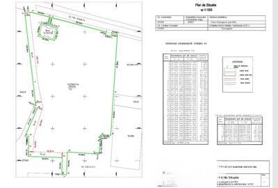 Teren Construcții intravilan de 25627 mp, în Ciorogârla - 6