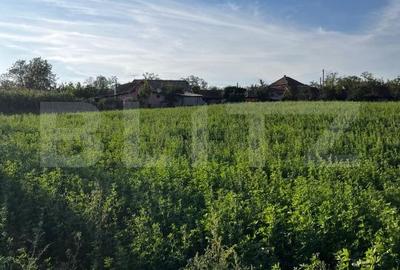 Casă cu 2 camere cu Teren 5100 Mp în Mihai Viteazu