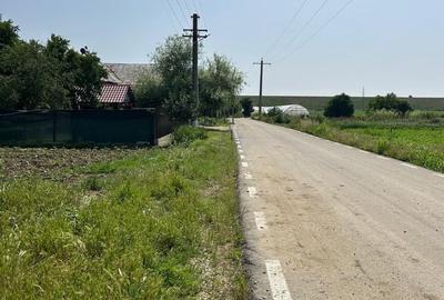 Teren de 2601 mp, în Grădinari - 4
