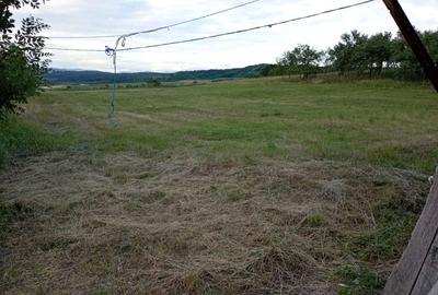 Casă cu 4 camere în Răbăgani - 7