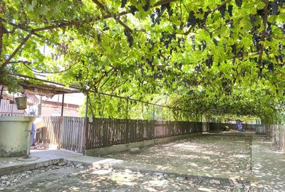 Casă cu 2 camere cu Teren 1900 Mp în Central