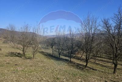 Teren de 4627 mp, în Giulești - 1