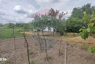 Casă cu 2 camere cu Teren 2221 Mp în Cefa - 14