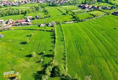 Teren Construcții intravilan de 2063 mp, în Zagon - 4