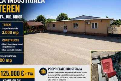 Spațiu industrial, de 1,300 mp, în Cefa