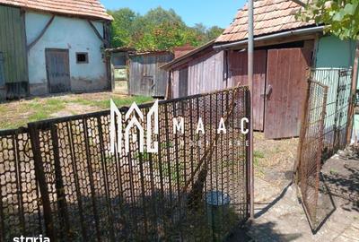 Casă cu 4 camere cu Teren 2000 Mp în Alțina - 2