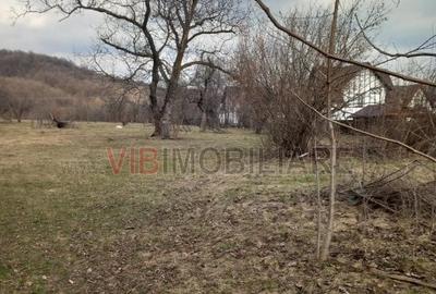 Teren intravilan de 2898 mp, în Brebu Mânăstirei - 5