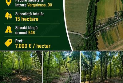Teren de 15 mp, în Verguleasa