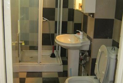 Apartament cu 3 camere decomandat în Ultracentral - 2