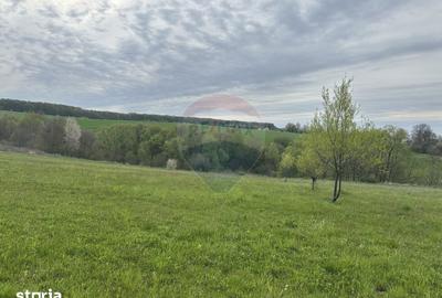 Teren de 3000 mp, în Bodești - 2
