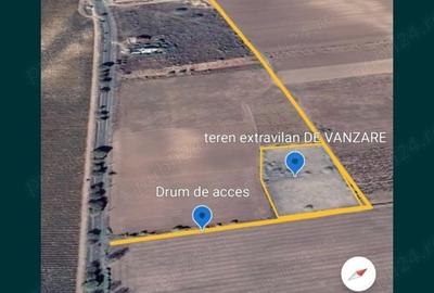 Teren de 6700 mp, în Sud - 5