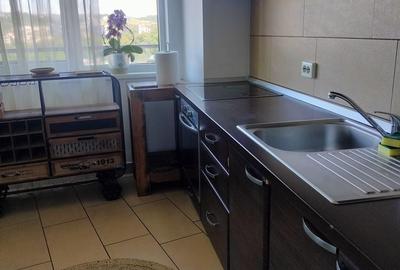 Apartament cu 3 camere în Plopilor