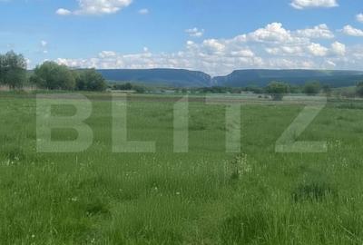 Teren de 2400 mp, în Petrești