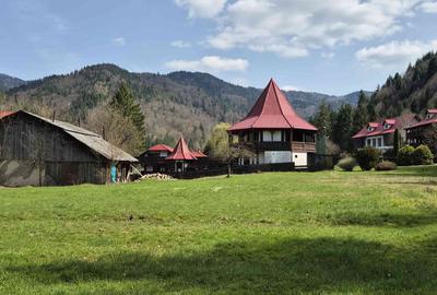 Teren de 4096 mp, în Tarcău - 3