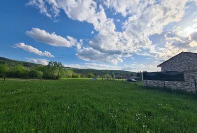 Teren de 800 mp, în Cărpiniș - 11