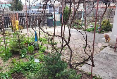 Casă cu 4 camere în Central - 2