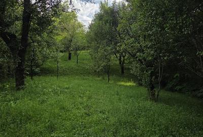 Casă cu 3 camere în Pietroșița