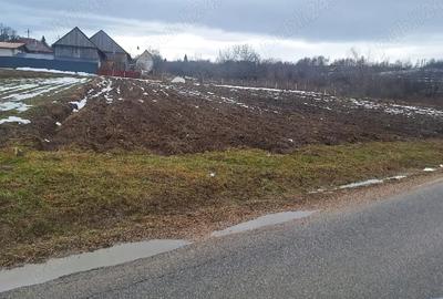 Teren de 2300 mp, în Dângău Mare - 3