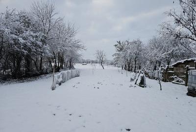 Spațiu comercial, de 150 mp, în Suplacu de Tinca - 14
