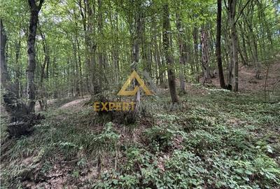 Teren de 1900 mp, în Valea Borcutului