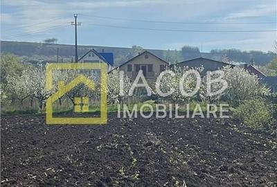 Spațiu comercial, în Prăjești