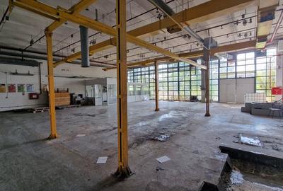 Spațiu industrial, de 8,000 mp, în Buziașului - 2