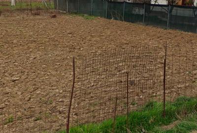 Teren Construcții intravilan de 500 mp, în Măgurele - 2