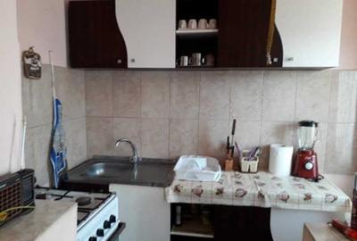 Casă cu 2 camere în Vintere