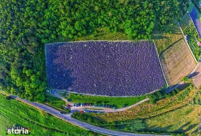 Teren de 8000 mp, în Central - 7