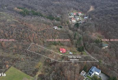 Teren de 7400 mp, în Tăuții-Măgherăuș - 3