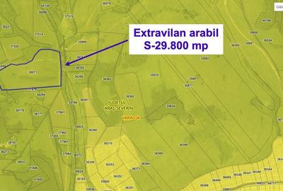 Teren agricol extravilan de 29800 mp, în Vărădia - 2