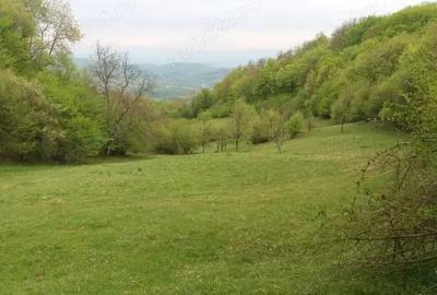 Teren de 27500 mp, în Săcărâmb - 5