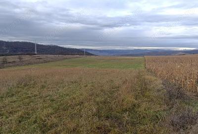Teren de 20000 mp, în Saschiz