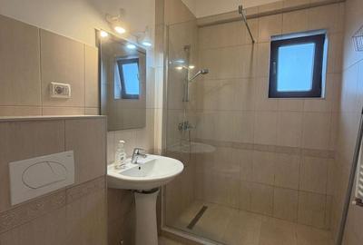 Apartament cu 2 camere decomandat, mobilat în Dumbrăvița - 3