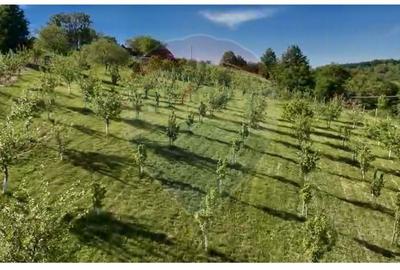 Teren agricol intravilan de 20170 mp, în Șuncuiuș - 3