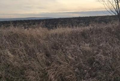 Teren agricol extravilan de 2000 mp, în Tureni - 1