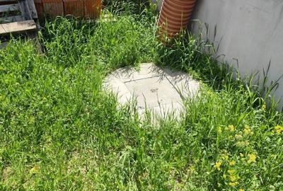 Casă cu 3 camere cu Teren 300 Mp în Sânmartin - 3