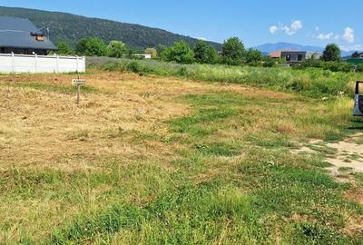 Teren de 625 mp, în Olteni