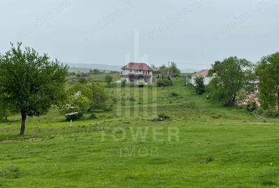 Teren de 1800 mp, în Roșia - 5