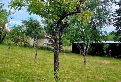 Casă cu 3 camere cu Teren 2952 Mp în Cerna