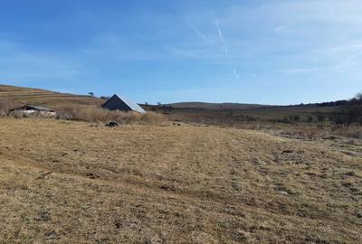 Teren de 8400 mp, în Vălișoara - 1