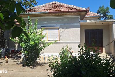 Casă cu 4 camere cu Teren 2800 Mp în Șagu